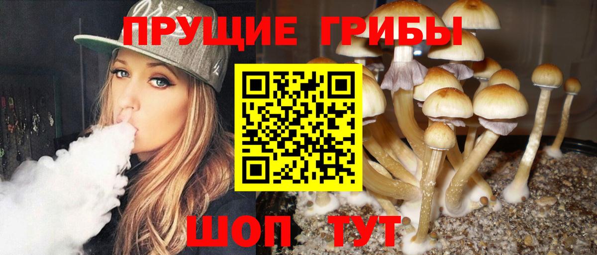 Псилоцибиновые грибы ЛСД Ижевск